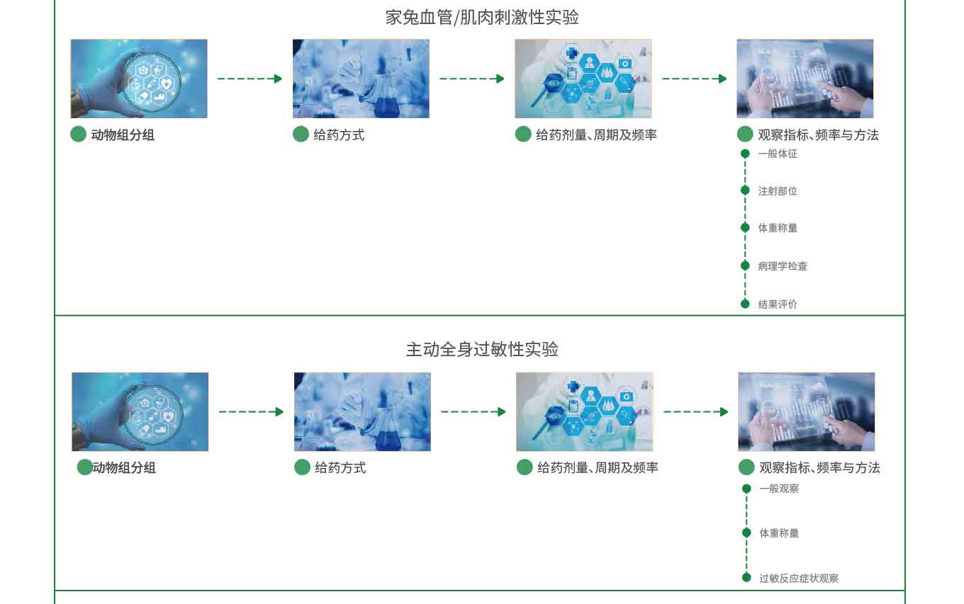 制剂安全性研究实验(图3)