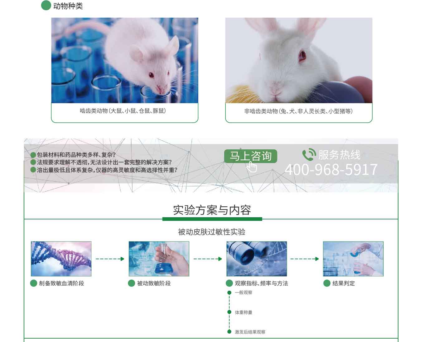 制剂安全性研究实验(图2)