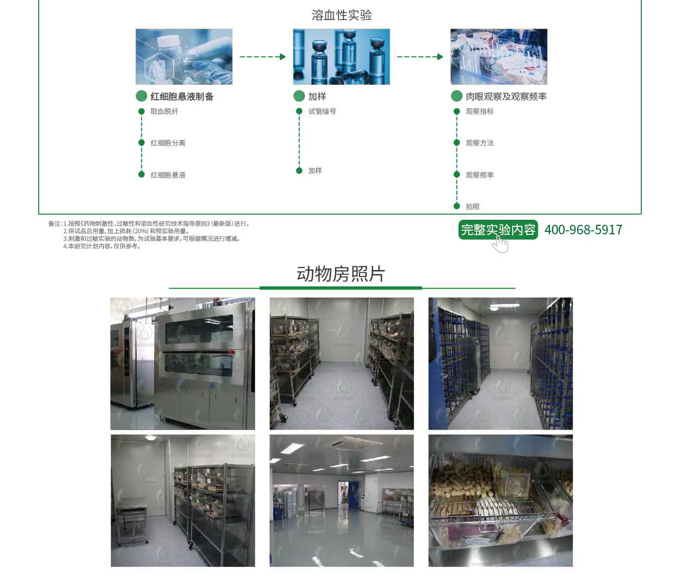 制剂安全性研究实验(图4)