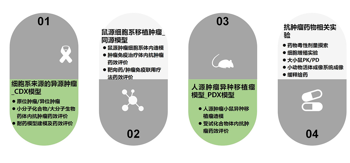 药效评价平台(图6)