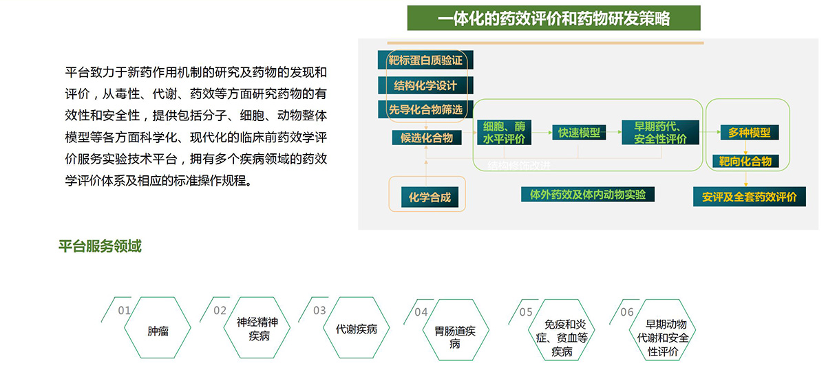 药效评价平台(图2)