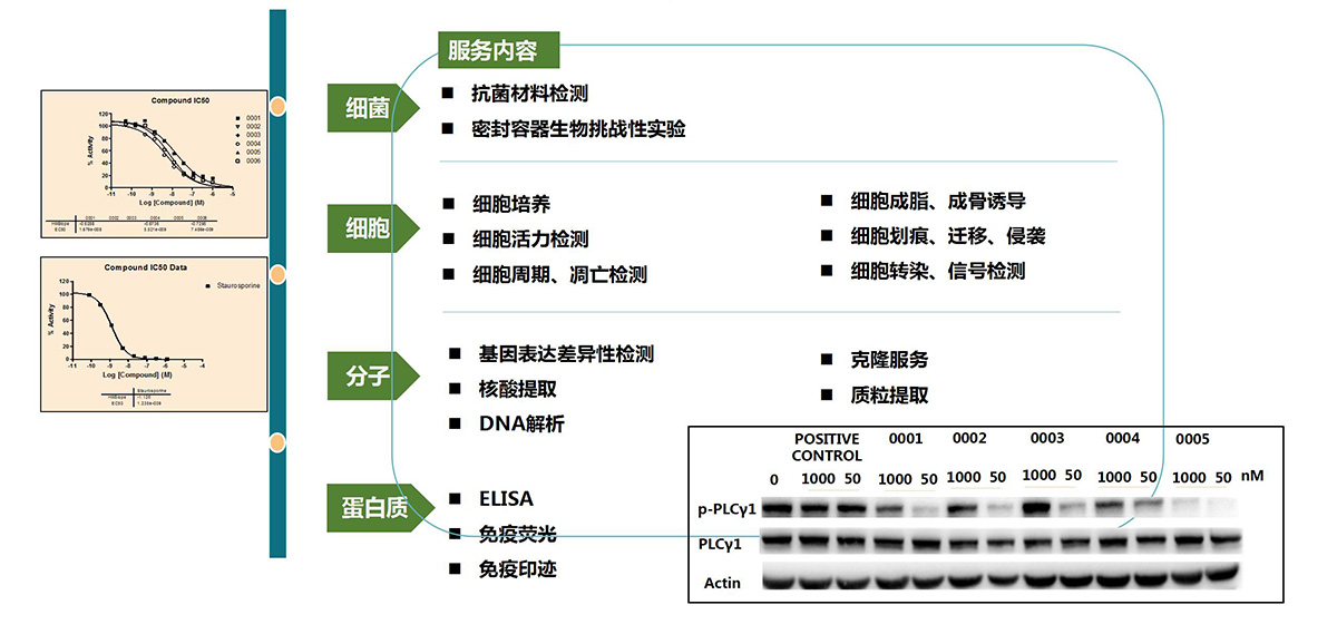 药效评价平台(图4)