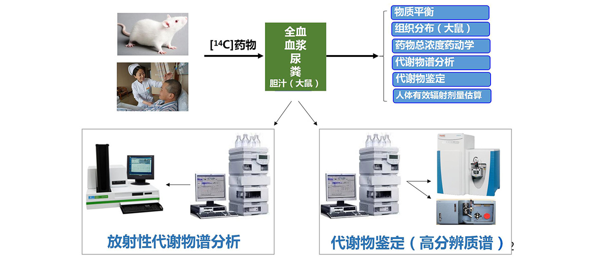 放射性DMPK实验平台(图4)