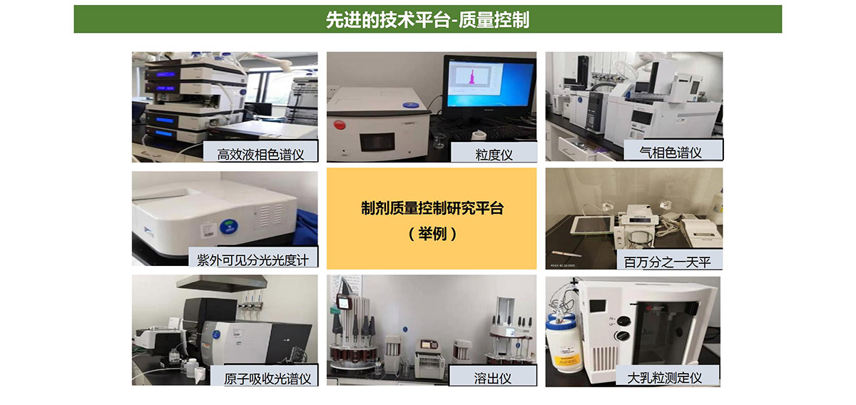 高端制剂检测平台(图10)
