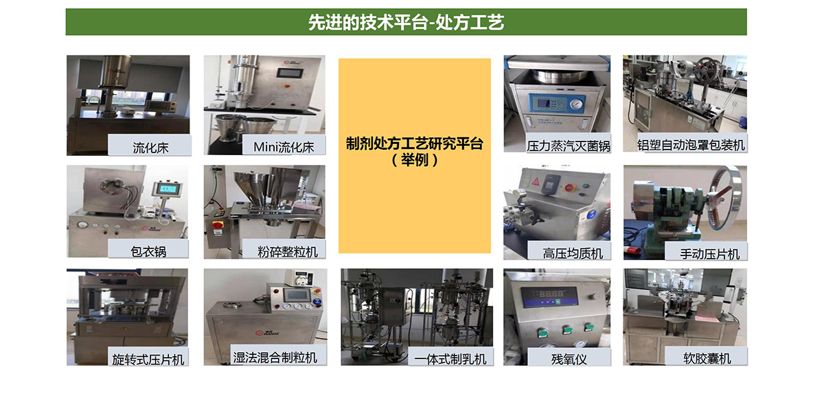 高端制剂检测平台(图9)