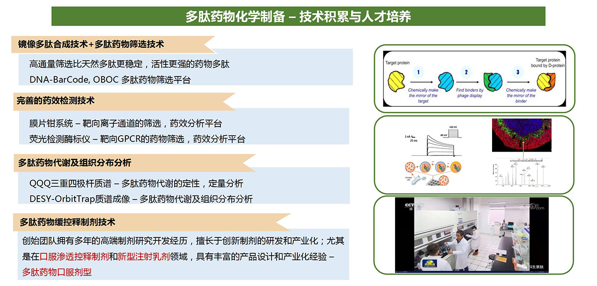 多肽药物检测平台(图7)