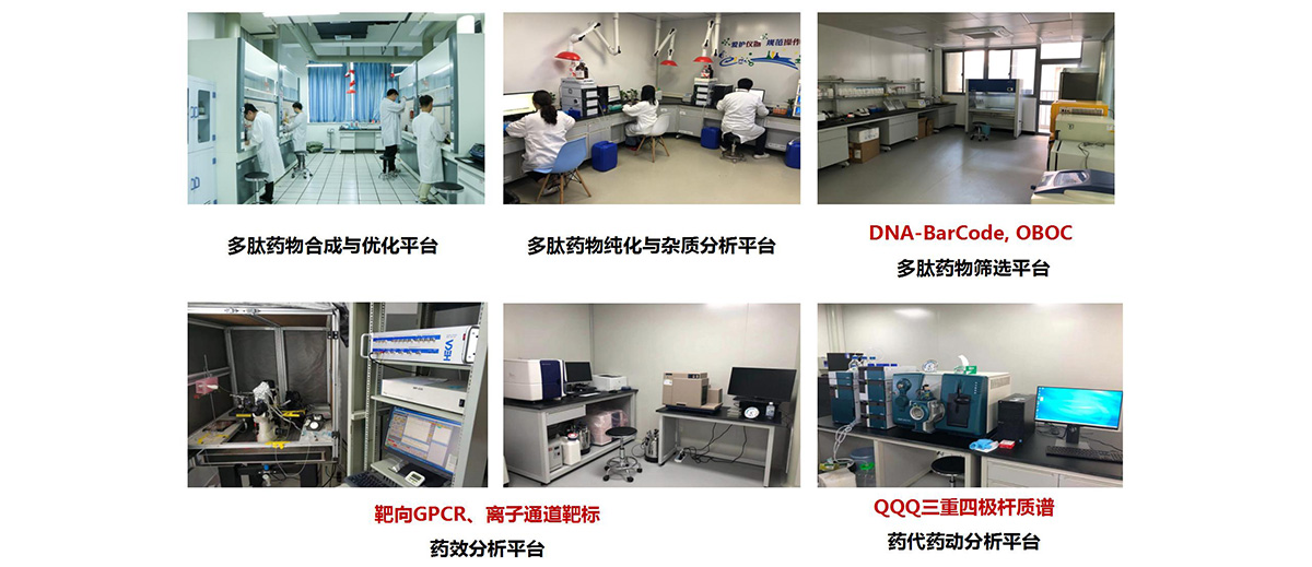多肽药物检测平台(图13)